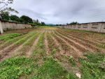 #11 Exclusivo Terreno en Tocuyito: Seguridad y Naturaleza